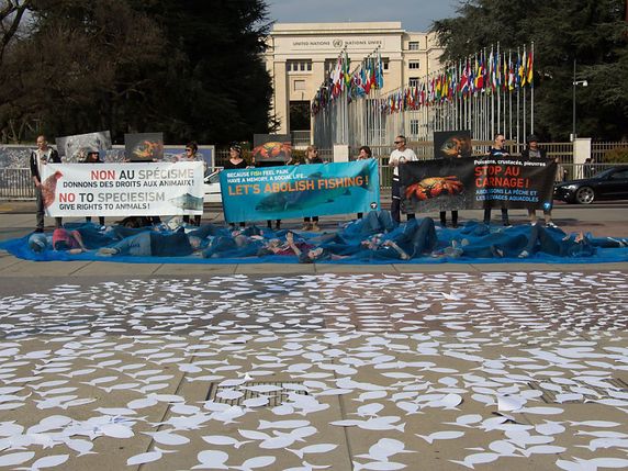 La première Journée mondiale pour la fin de la pêche a réuni une cinquantaine de personnes à Genève, devant le Palais des Nations. Elles ont appelé à la fin du massacre des poissons, qui constituent 95% des animaux tués pour notre consommation. © Association Pour l'égalité animale